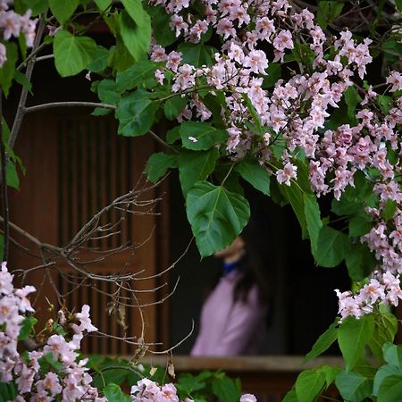 Apartamento 吾爱堂 Lijiang  Exterior foto