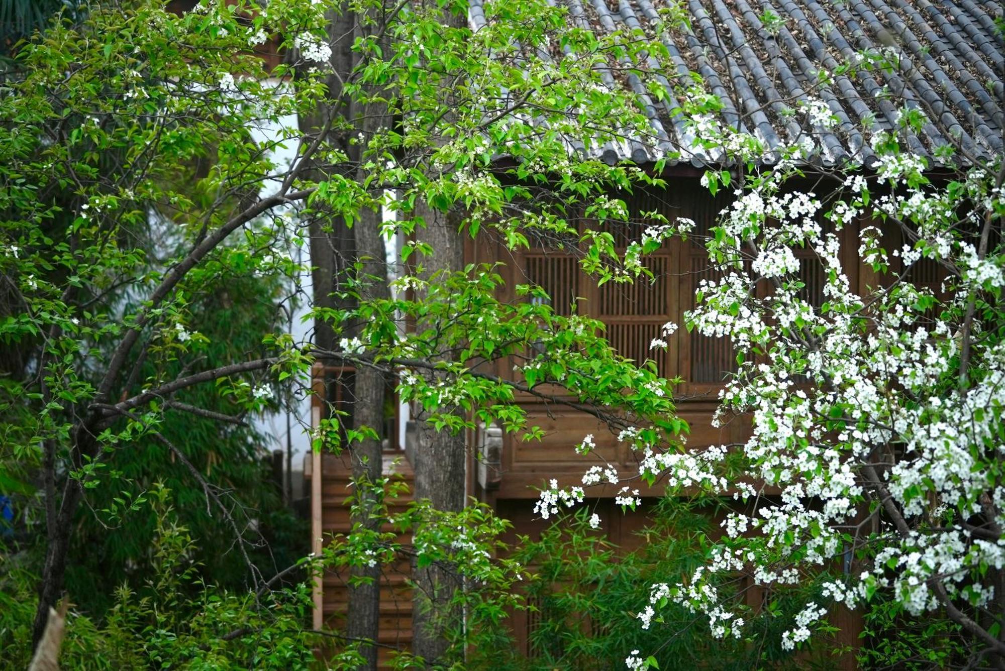 Apartamento 吾爱堂 Lijiang  Exterior foto