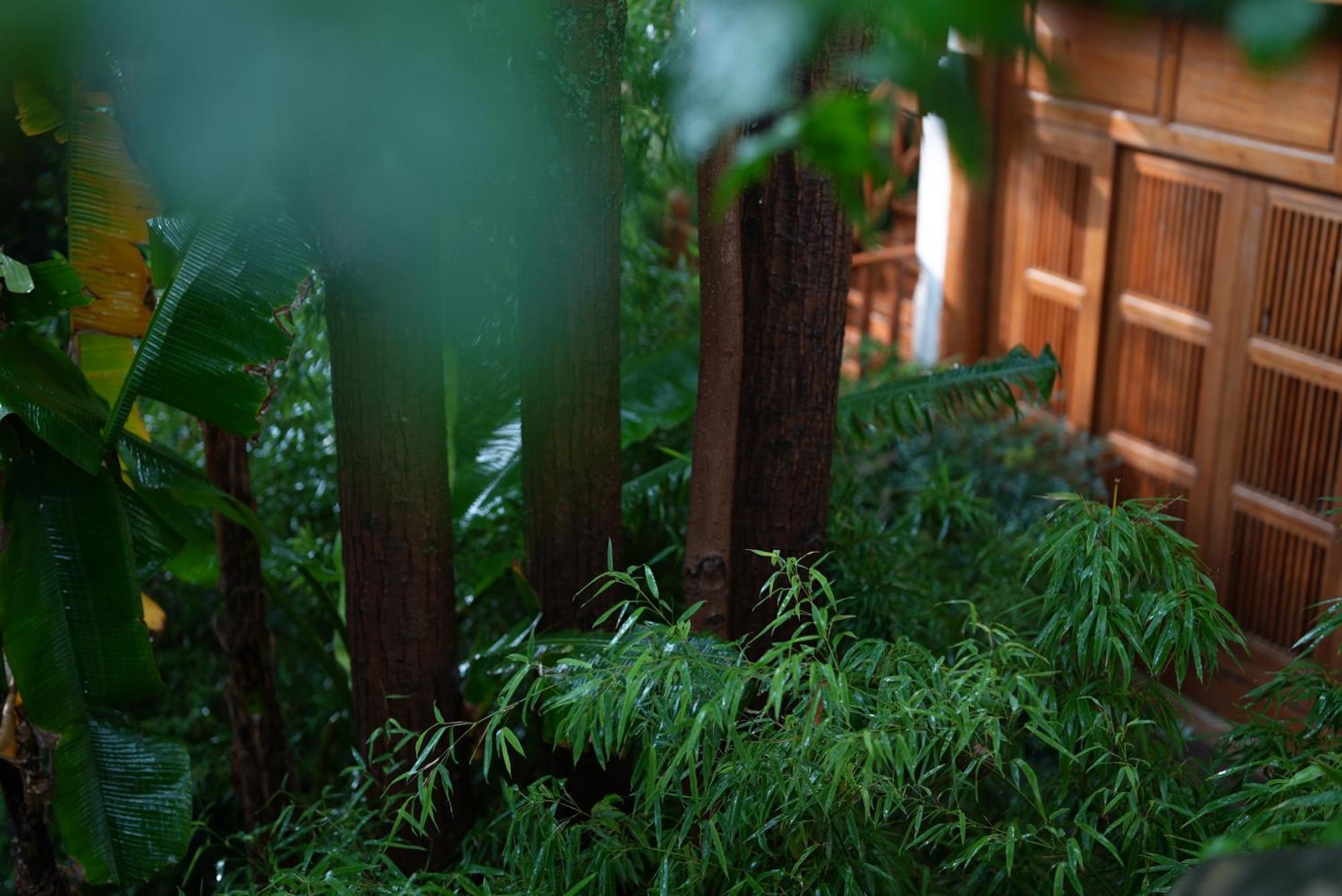 Apartamento 吾爱堂 Lijiang  Exterior foto