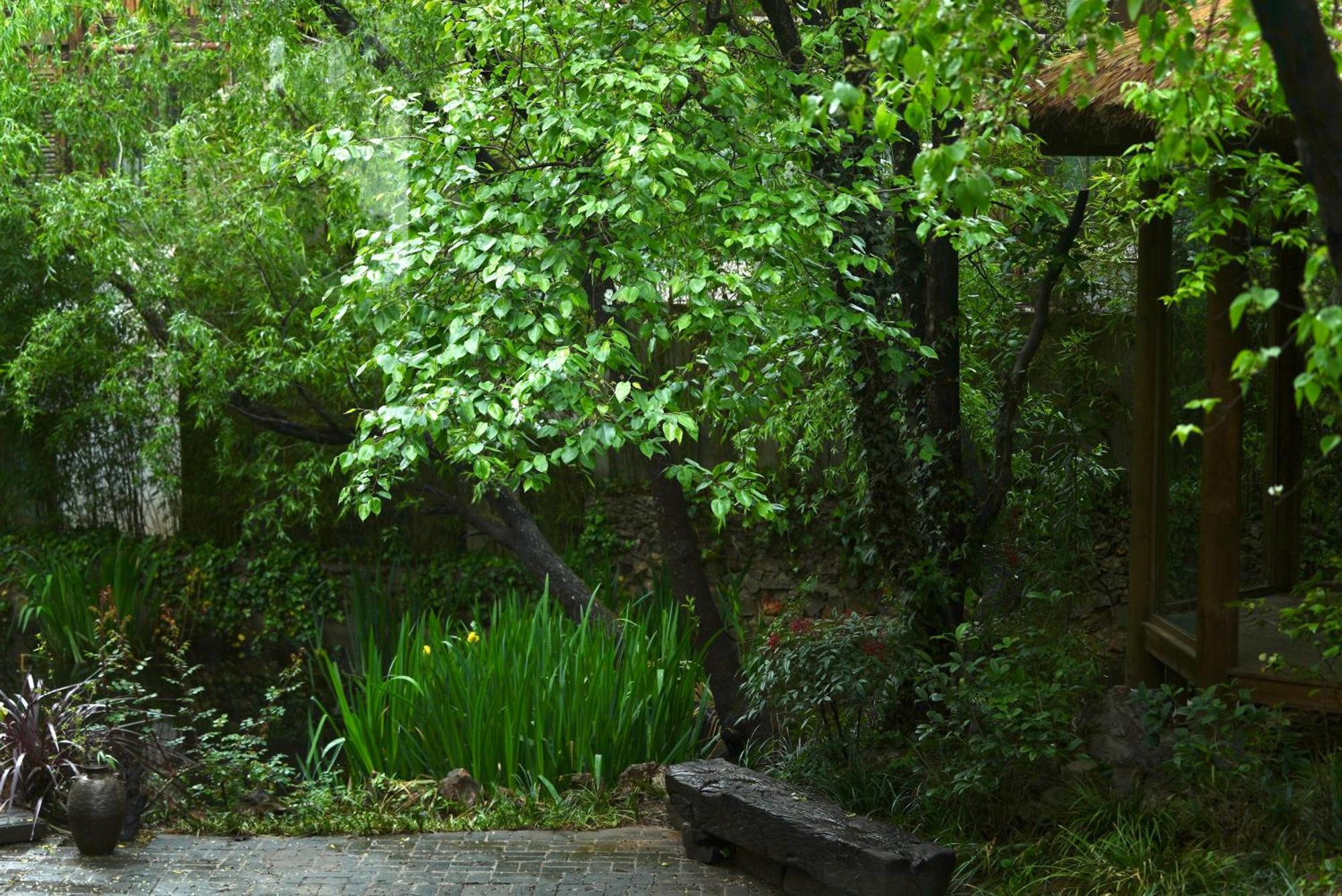 Apartamento 吾爱堂 Lijiang  Exterior foto